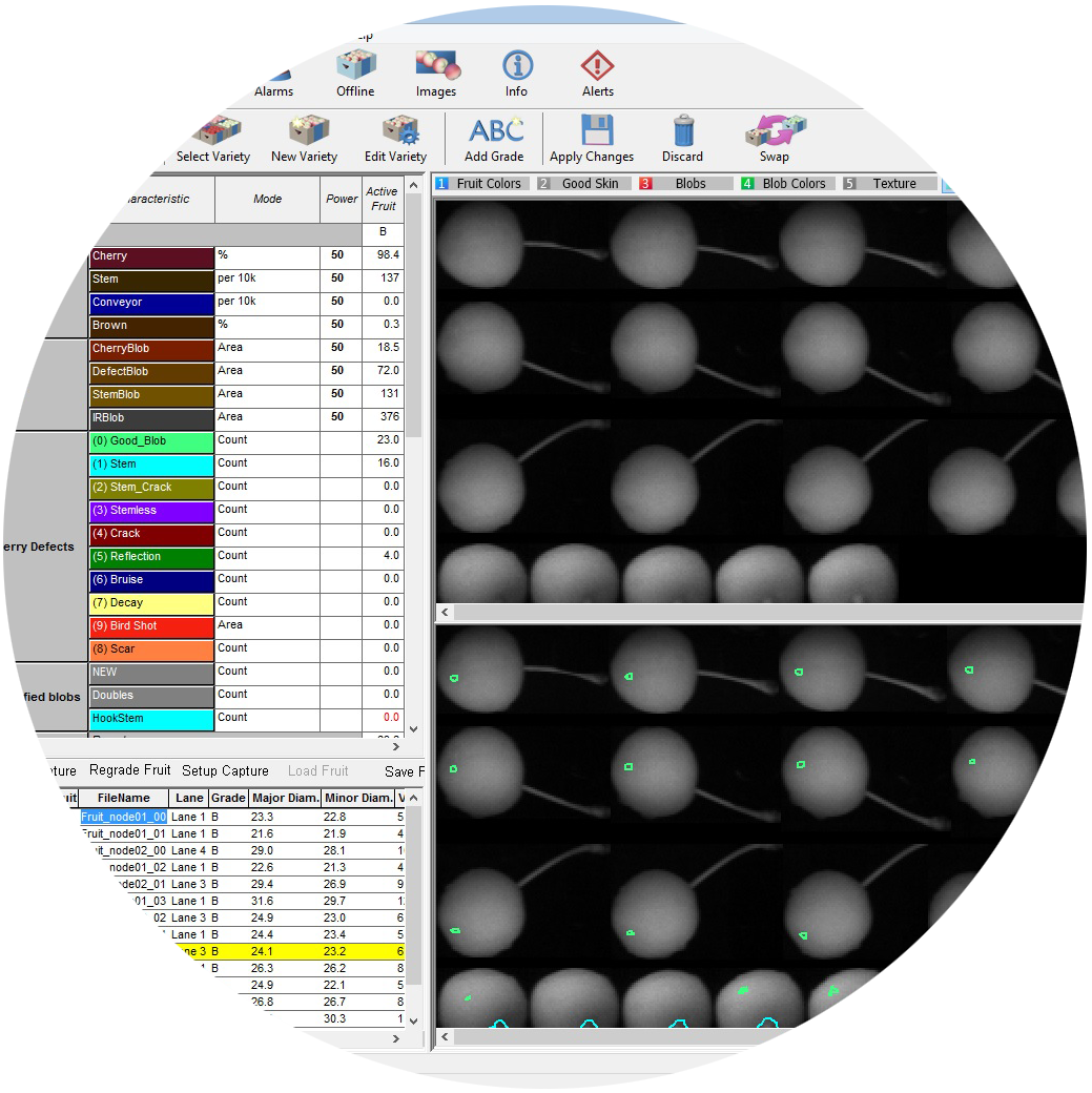 Compac Sort InVision Technology